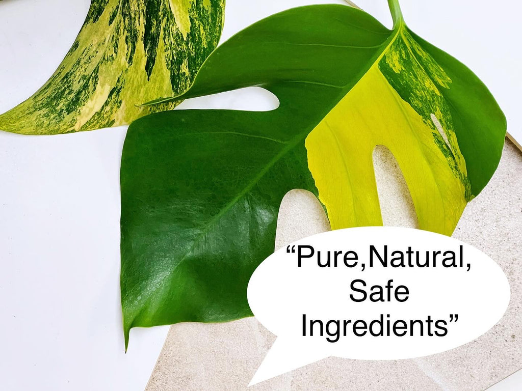 macro image showing clean, natural and pure ingredients on a plant leaf
