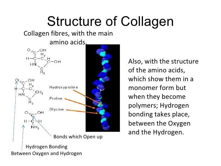 What is collagen? - aiona alive