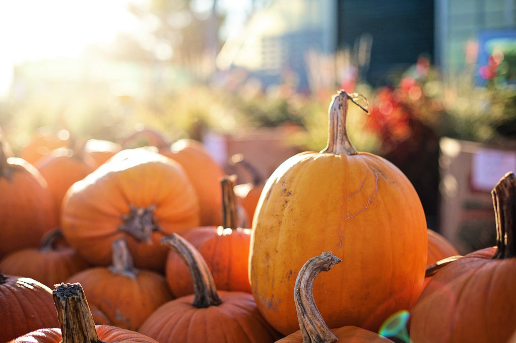 Ways to Repurpose Pumpkins